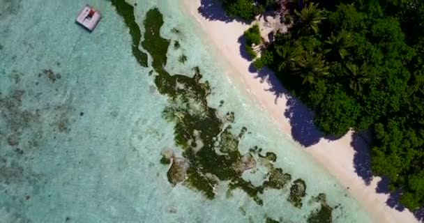 Wiersz Wodorostów Morskich Plaży Bali Indonezja — Wideo stockowe