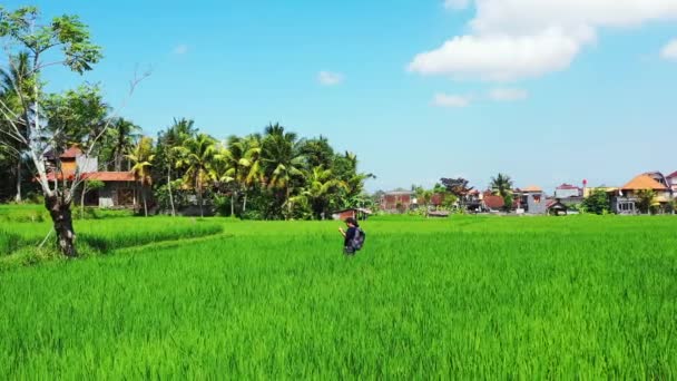 熱帯の島の緑の美しいフィールドで若いアジアの女の子の映像 — ストック動画