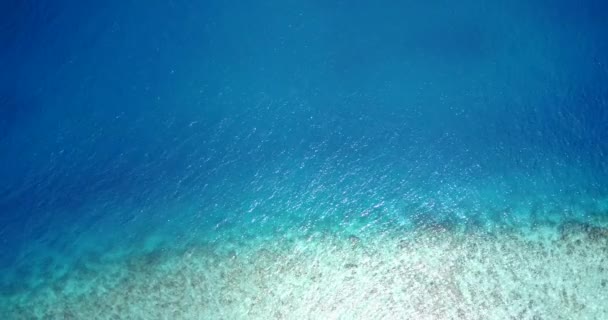 Jasny Widok Morze Egzotyczny Charakter Bora Bora Polinezja Francuska — Wideo stockowe