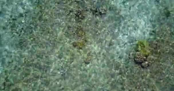 바위들 해수를 보였습니다 오스트레일리아 — 비디오