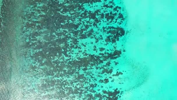 Vistas Aéreas Drónicas Aguas Cristalinas Verdes Con Olas Funcionamiento Vacaciones — Vídeo de stock