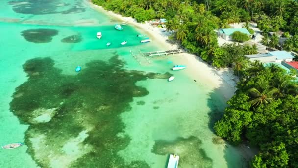 Vista Superior Zona Costera Por Mañana Paisaje Estival Las Maldivas — Vídeo de stock