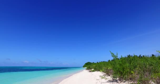 Tropikalna Wyspa Słoneczny Poranek Krajobraz Przyrody Antigua — Wideo stockowe