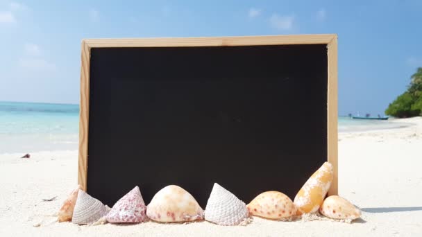 Schoolbord Met Schelpen Het Strand Landschap Van Australië Oceanië — Stockvideo