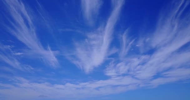 Blauwe Zomerhemel Met Pluizige Witte Wolken — Stockvideo