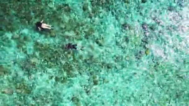 Turyści Nurkują Przejrzystym Morzu Wycieczka Barbados Karaiby — Wideo stockowe