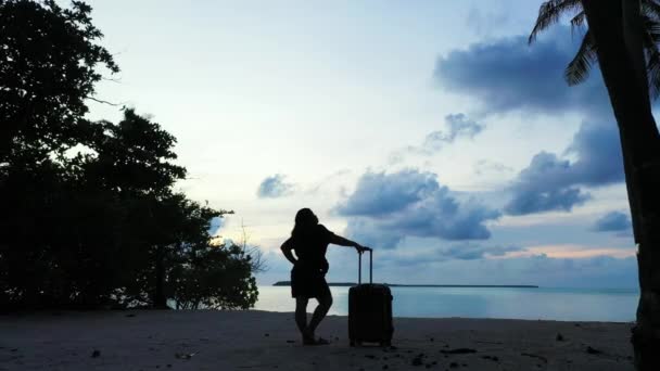 Silhouette Donna Con Valigia Spiaggia Tramonto — Video Stock