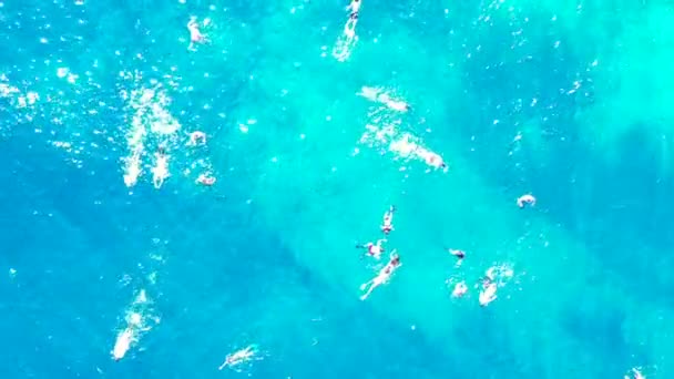 Touristen Genießen Das Türkisfarbene Meer Urlaubsangebote Dominikanische Republik Sommer — Stockvideo