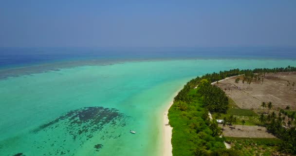 Vista Superior Mar Verde Brilhante Costa Desfrutando Férias Verão Bali — Vídeo de Stock