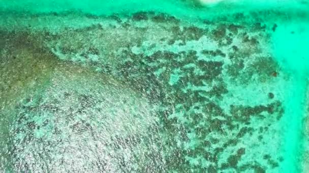 Eau Peu Profonde Avec Vagues Mer Vacances Été Bermudes Île — Video