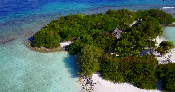 Tropical Island Lush Greenery Summer Vacation Scene Philippines Asia — Stock Video