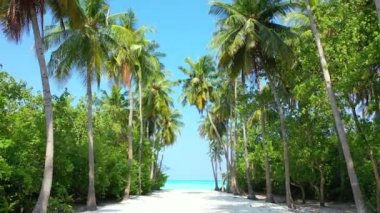 Turkuaz deniz kenarı adası. Endonezya, Bali 'de tropik bir manzara.  