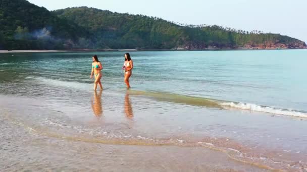 两个穿着比基尼的年轻女友在海滨的水里 美丽的女人在热带度假胜地休息 — 图库视频影像