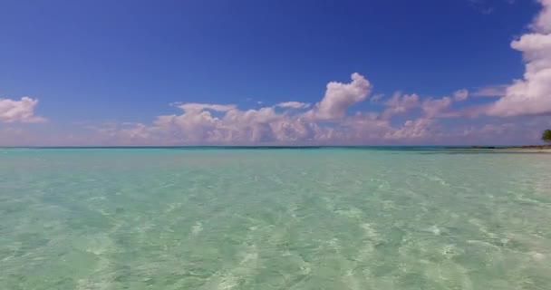 绿松石海景的原始海滩景色令人叹为观止 牙买加 加勒比的夏季风景 — 图库视频影像