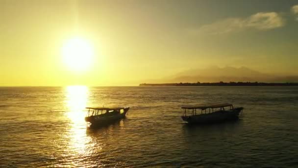 Deniz Kenarında Altın Saat Bali Nin Tropikal Doğası — Stok video