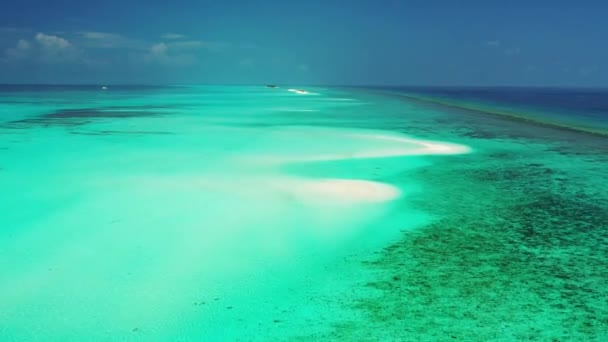 Peleryna Morska Neonową Turkusową Wodą Letnia Scena Bahamach Karaiby — Wideo stockowe