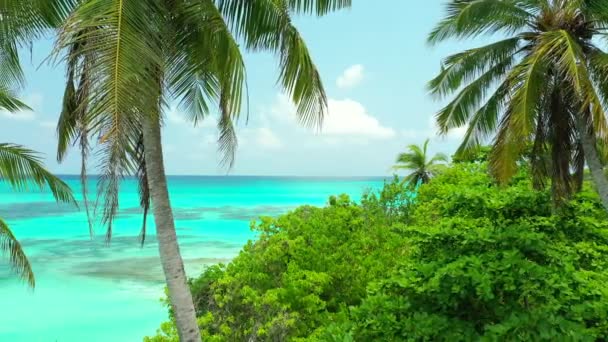 Tropical Green Island Vibrant Turquoise Sea Amazing Nature Dominican Republic — Stock Video