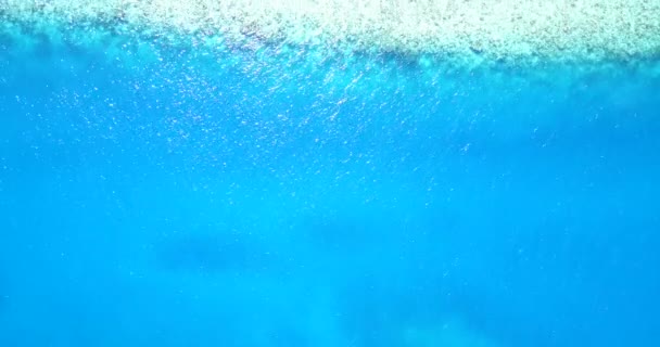 Bovenaanzicht Van Helder Blauw Zeewater Tropisch Paradijs Van Barbados Caribisch — Stockvideo