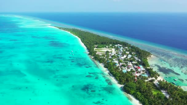 Vibrante Mer Turquoise Bordure Verte Île Tropicale Nature Ensoleillée Barbade — Video