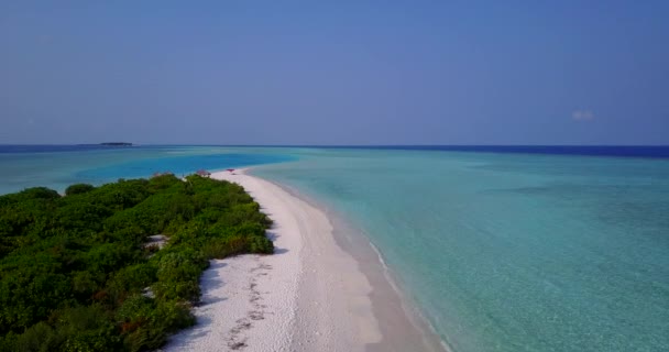 Tropikal Adanın Şeffaf Turkuaz Mavi Kıyı Şeridi Endonezya Daki Egzotik — Stok video