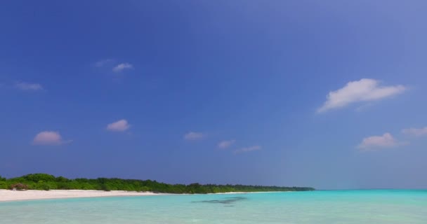 Mariscal Mañana Serena Paraíso Veraniego República Dominicana Caribe — Vídeos de Stock