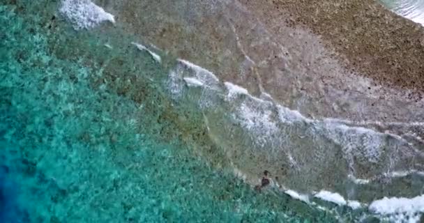 海辺の自然背景 インドネシアへの夏の旅 — ストック動画