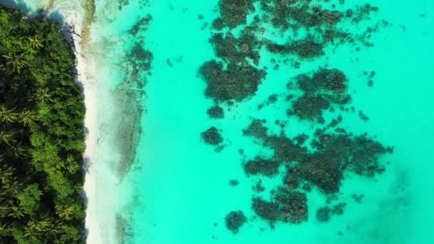 Wibrująca Turkusowa Scena Nad Morzem Letnia Scena Tropikalna Dominikanie Karaiby — Wideo stockowe