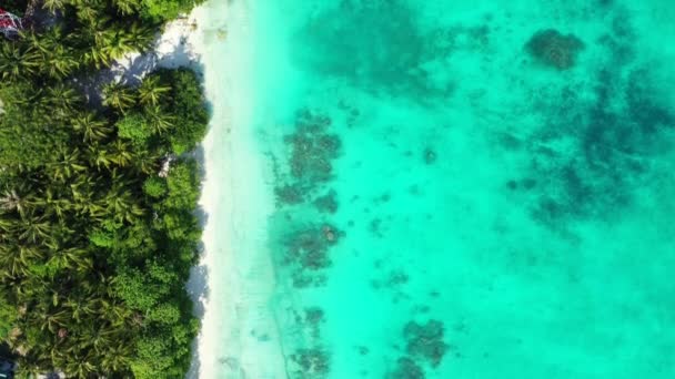 Tropikal Yaz Adası Havadan Izleniyor Endonezya Bali Deki Egzotik Manzara — Stok video