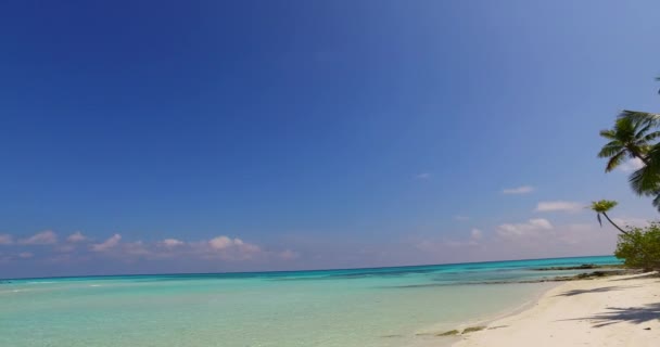 Küste Mit Kristallklarem Wasser Naturlandschaft Bali Indonesien — Stockvideo