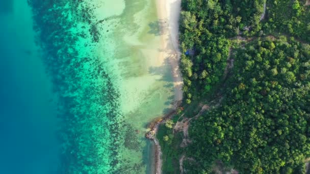 在碧绿的海水中的奇异的天堂岛 在菲律宾 亚洲的暑假 — 图库视频影像