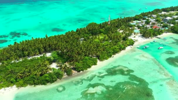 Blick Auf Die Grüne Insel Tropenurlaub Auf Bali — Stockvideo