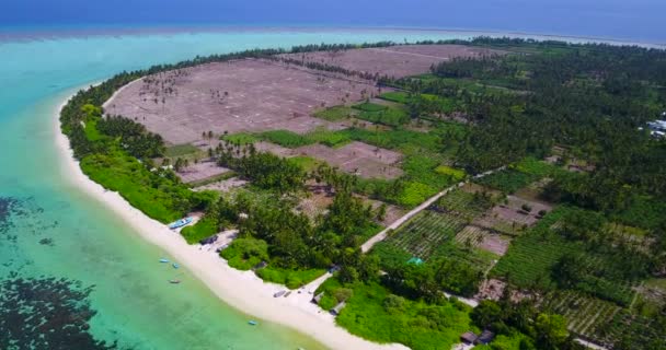 Vista Pájaro Isla Tropical Relajación Verano Bali Indonesia — Vídeo de stock