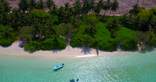 Tropisch Eiland Van Bovenaf Bekeken Zomervakantie Bali Indonesië — Stockvideo