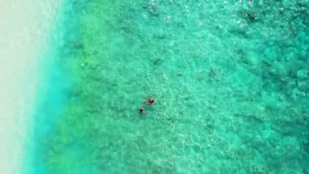 Съемки Воздуха Двух Девушек Плавающих Океане — стоковое видео