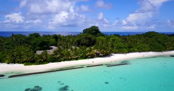 Buja Zöld Tenyerek Trópusi Szigeten Nyaralás Maldív Szigeteken — Stock videók