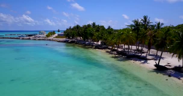 穏やかな海の景色 ドミニカ共和国 カリブ海のエキゾチックな自然 — ストック動画