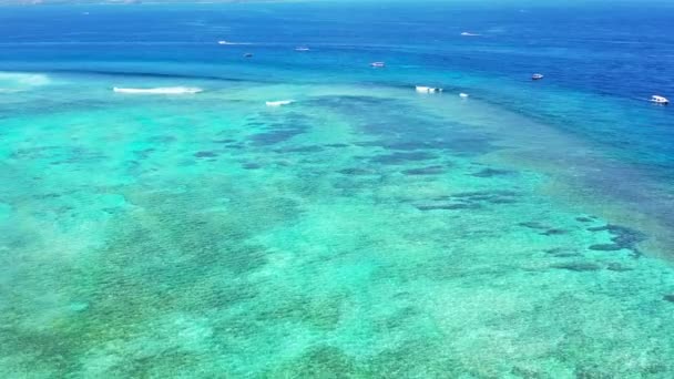 Żywa Woda Morska Przyroda Dominikany Karaiby — Wideo stockowe