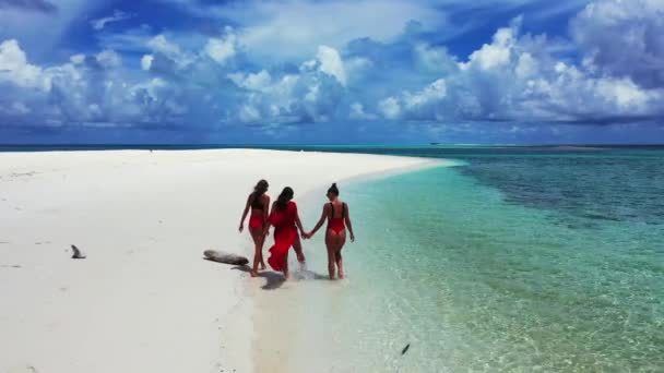 Vista Aérea Hermosas Mujeres Jóvenes Bikini Relajándose Una Playa Tropical — Vídeo de stock