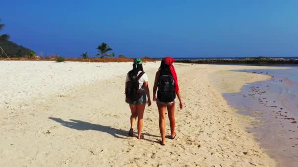 Imágenes Arriba Dos Amigas Caminando Por Playa — Vídeos de Stock