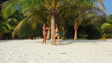 Bikinili iki genç kız arkadaş kumlu deniz kıyısında palmiye ağacının altında güneşleniyor ve konuşuyor. Tropik tatil köyünde dinlenen güzel kadınlar    