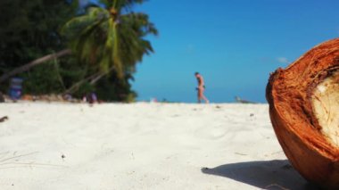 Sahildeki hindistan cevizi manzarası çok yakın. Bali 'de yaz tatili.