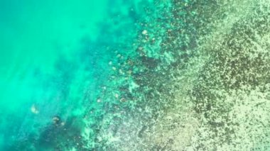 Sakin sularla kıyı şeridi. Endonezya, Bali 'de yaz havası.