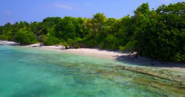 Deniz kenarı bölgesini gözlemliyorum. Dominik Cumhuriyeti, Karayipler 'de yaz tropik sahneleri. 