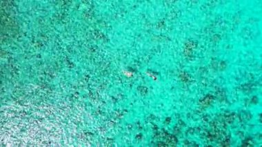 Turistler deniz suyunda dinleniyor. Dominik Cumhuriyeti, Karayipler 'in egzotik doğası. 