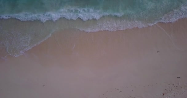 Blick Von Oben Auf Transparentes Meerwasser Tropisches Paradies Bora Bora — Stockvideo