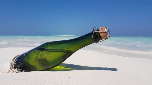 Бутылка Пляже Путешествие Гавайи Сша — стоковое видео
