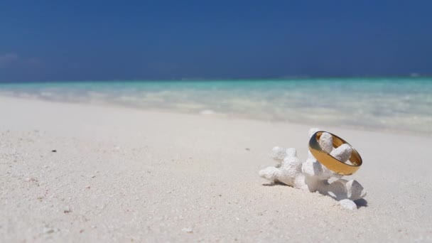 Anel Casamento Dourado Coral Praia Paisagem Sazonal Verão Maldivas Sul — Vídeo de Stock
