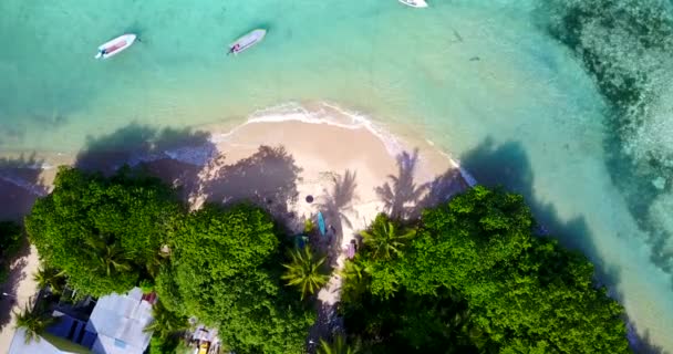 Vista Superior Costa Con Barcos Pequeños Situación Naturaleza Tropical Jamaica — Vídeo de stock