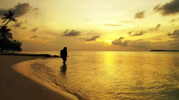 海滩上背负着背包的夕阳西下女人的轮廓 — 图库视频影像
