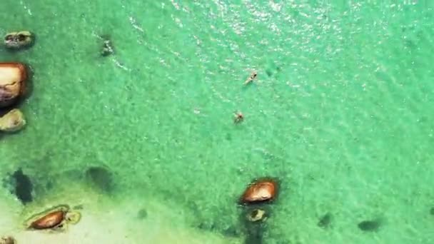 岩の多い海岸で泳ぐ観光客 オーストラリア オセアニアの風景 — ストック動画